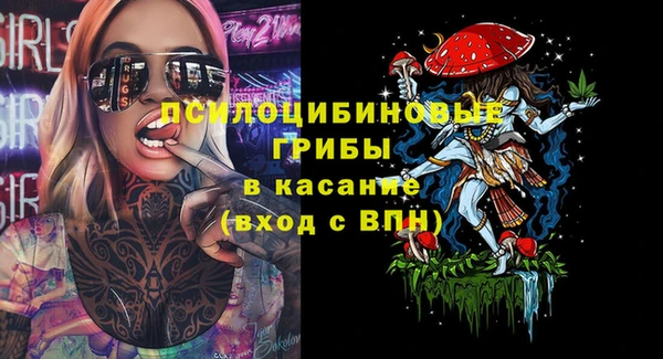 МДПВ Аркадак
